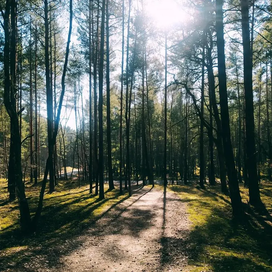Wiosłówka - domek nad morzem Gdańsk